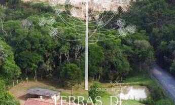 Imagem 3: Terreno Rural escriturado com 2000 m² - Saltinho - Campo Alegre/SC