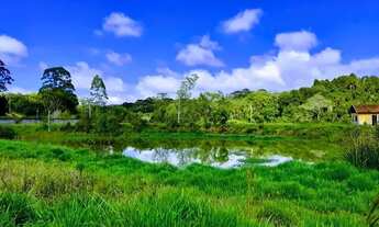 Imagem 7: Lote/Terreno para venda possui 500 metros quadrados em Granja Viana - Cotia - SP