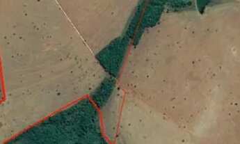 Imagem 2: Fazenda para Venda em Centro Comendador Gomes-MG - 2940