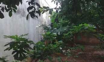 Imagem 3: Casa Padrão em São José do Rio Preto