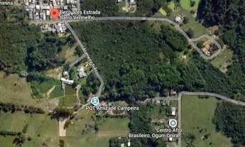 Imagem 2: Terreno em Restinga