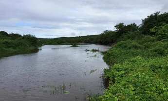 Imagem 4: Fazenda com 2.200 tarefas = 6.655.000 m2 na zona rural de - Araci - BA