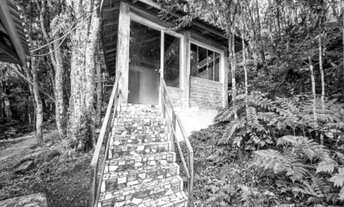 Imagem 2: Sítio em SJP-PR com 36.663.00 m2