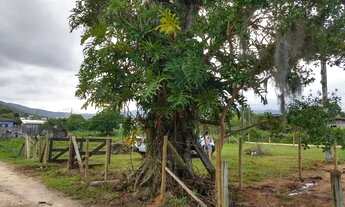 Imagem 7: Vende-se terreno na Encantada com 360m2, próximo da rodovia, com IPTU, viabilidade e topog