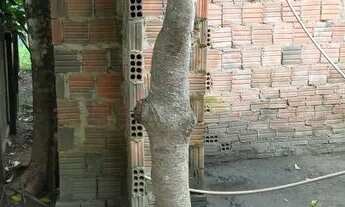 Imagem 4: Vendo uma casa no bairro Hélio Melo