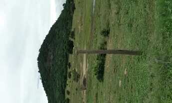 Imagem 3: 25 hectares de terra para vender