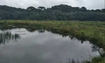 Imagem: Chácara em São José dos pinhais, Troca