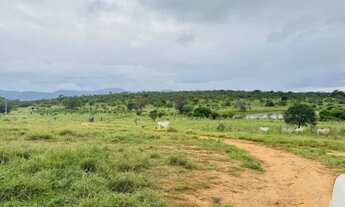 Imagem 6: FAZENDA À 22KM DE ITABERABA - 2415 TAREFAS