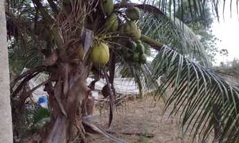 Imagem 6: Chácara 20.000m² casa 3 suítes, próximo ao Mateus do Maiobão