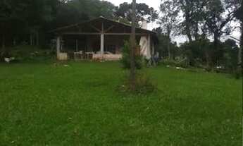 Imagem 4: Chácara em São José dos pinhais, Troca , vende