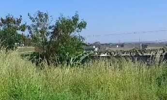 Imagem 3: Lote Senador Canedo