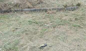 Imagem 2: Terreno Em Campo Grande