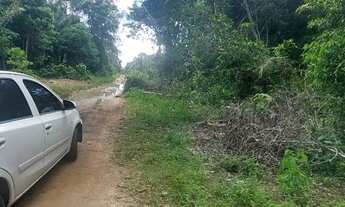 Imagem 3: Dois Lotes de terras a 2 km da Praia do Açutuba