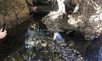 Imagem 7: Chácara 5.000 m² com córrego - PATO SELVAGEM