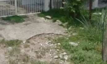 Imagem: Casa em Olinda Bultrins