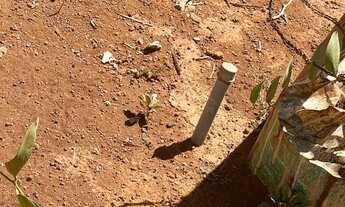 Imagem 4: Lote 26 de Setembro