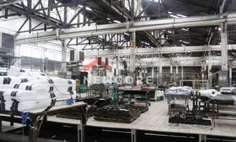 Imagem 6: Galpão em Rua Major Paladino - Vila Ribeiro de Barros - São Paulo/SP