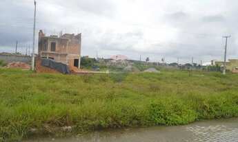 Imagem 5: Terreno localizado em Peroba, Maragogi!