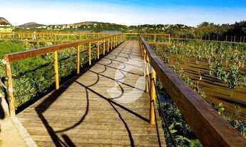 Imagem 5: Terreno à venda, 450 m² por R$ 320.000,00 - Piratininga - Niterói/RJ