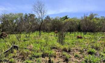 Imagem 2: Imóvel para venda com 600 metros quadrados em Terra Preta (Terra Preta) - Mairiporã - SP