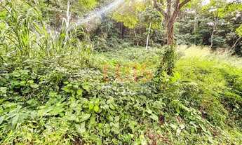 Imagem 2: Terreno à venda, 1000 m² por R$ 600.000 - Piratininga - Niterói/RJ - TE1245