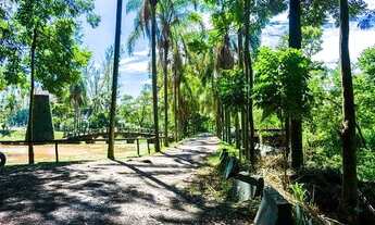 Imagem 7: Terreno em aclive à venda no Swiss Park - Campinas/SP