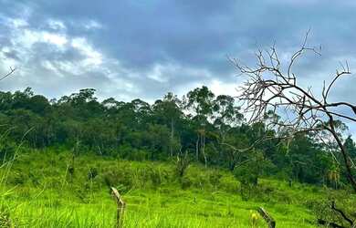 Imagem 6: Terreno em São Roque: Potencial de Valorização, Turismo,Lazer ou Investimento!!NA ROTA DO