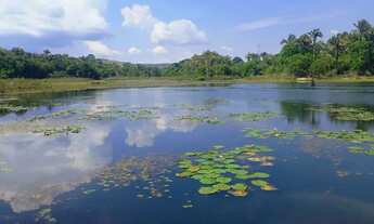Imagem 3: Chácara no Município de Água Fria Terra Conquistada com 27 hectares