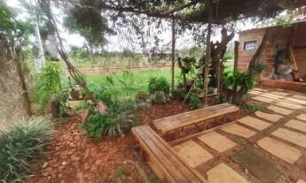 Imagem 3: Vendo ótima chácara de 5 mil metros no monjolo