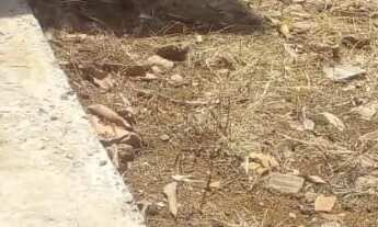 Imagem 6: Terreno 600² 12x50