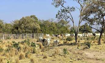 Imagem: Fazenda 20 alqueires