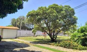 Imagem 7: Chácara a venda no Matapoã