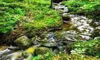 Imagem: Excelente opção para carteira de investimentos