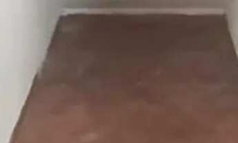 Imagem 3: Salão Comercial com 2 banheiros para alugar, 123m² - Campos Elíseos