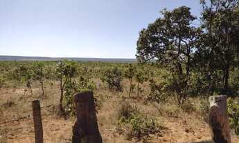 Imagem 6: FAZENDA TODA PLANA EM MAMBAÍ (GO) ? 950 ALQUEIRES