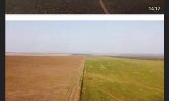 Imagem 3: Fazenda de arrendamento 1.200 hec em Itiquira MT. Grade combinar