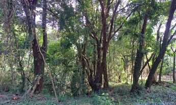 Imagem 4: TERRENO - COUNTRY CLUB - SP