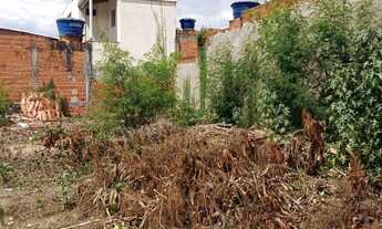 Imagem 5: Lote no bairro Novo Delfino