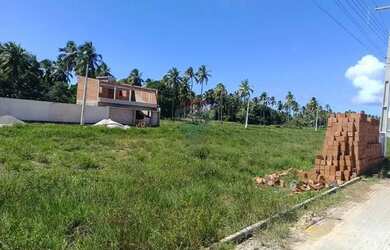 Imagem 6: Terreno localizado em Peroba, Maragogi!