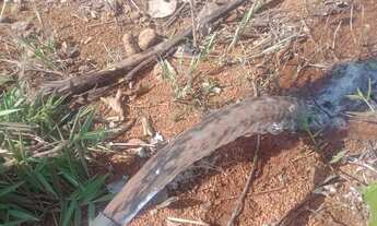 Imagem 3: Vendo chácara excelente localização