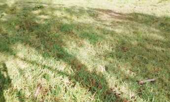 Imagem: Mini Chácara Rural