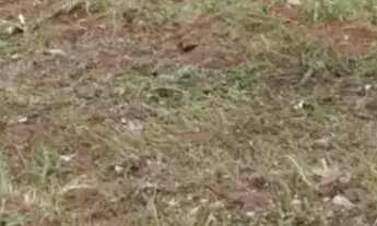 Imagem 3: Apartamento para venda com 140 metros quadrados em Jardim Santa Luzia - Embu das Artes - S