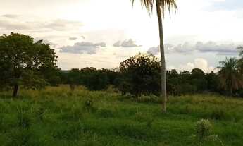 Imagem: Venda Área com 18 Hectares próximo do
