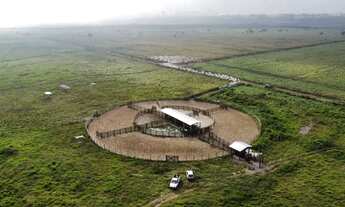 Imagem 7: Fazenda para venda possui 3950000 metros quadrados