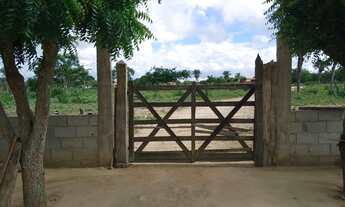 Imagem 5: Vendo sítio com 30 tarefas de terra mais casas