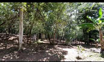 Imagem 4: Chácara de 5330 m² com 02 quartos à venda por R$ 350.000 em Hidrolândia