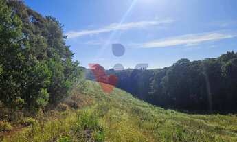 Imagem 5: Chácara 7 Alqueires em Campo Magro Ideal para Plantio e Lazer