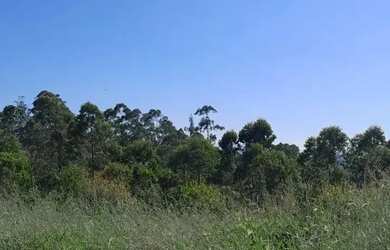 Imagem 3: Terrenos para venda tem 1000 metros quadrados em Centro (São João Novo) - São Roque - SP