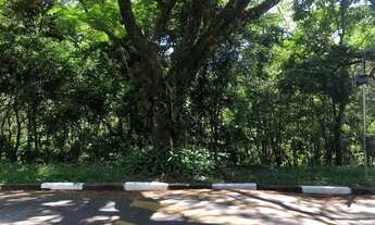 Imagem 7: Terreno à venda com 1.126,00 m² no Colinas do Ermitage (Sousas), Campinas