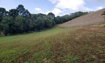 Imagem 5: Chácara com 6,1 alqueires Marmeleiro - Almirante Tamandaré